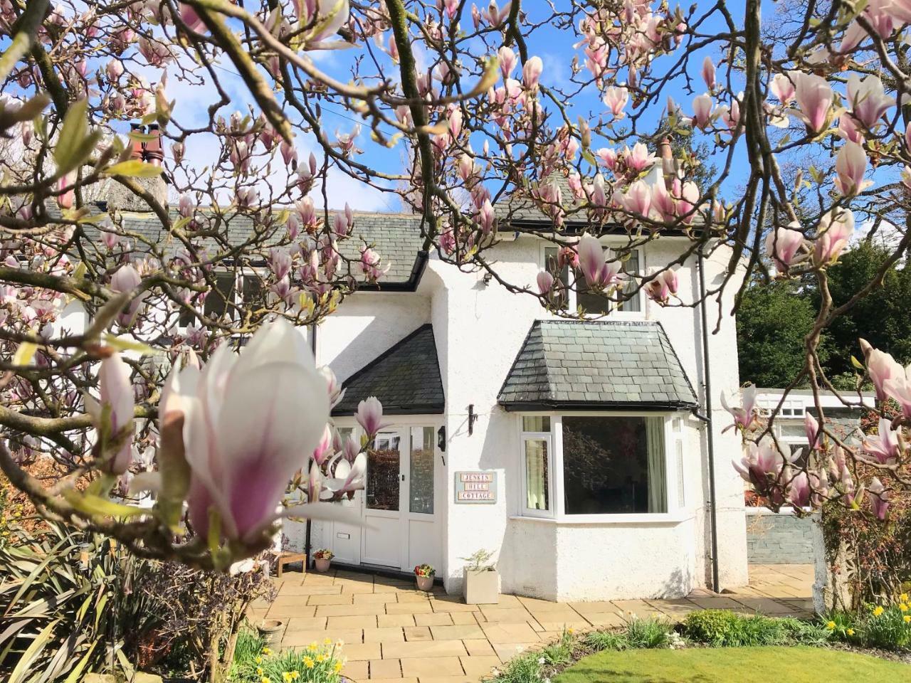 كيسويك Jenkin Hill Cottage Bed And Breakfast المظهر الخارجي الصورة